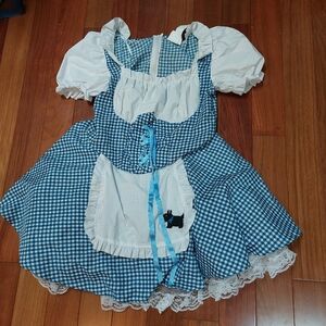 California costume collections Dorothy dress in large